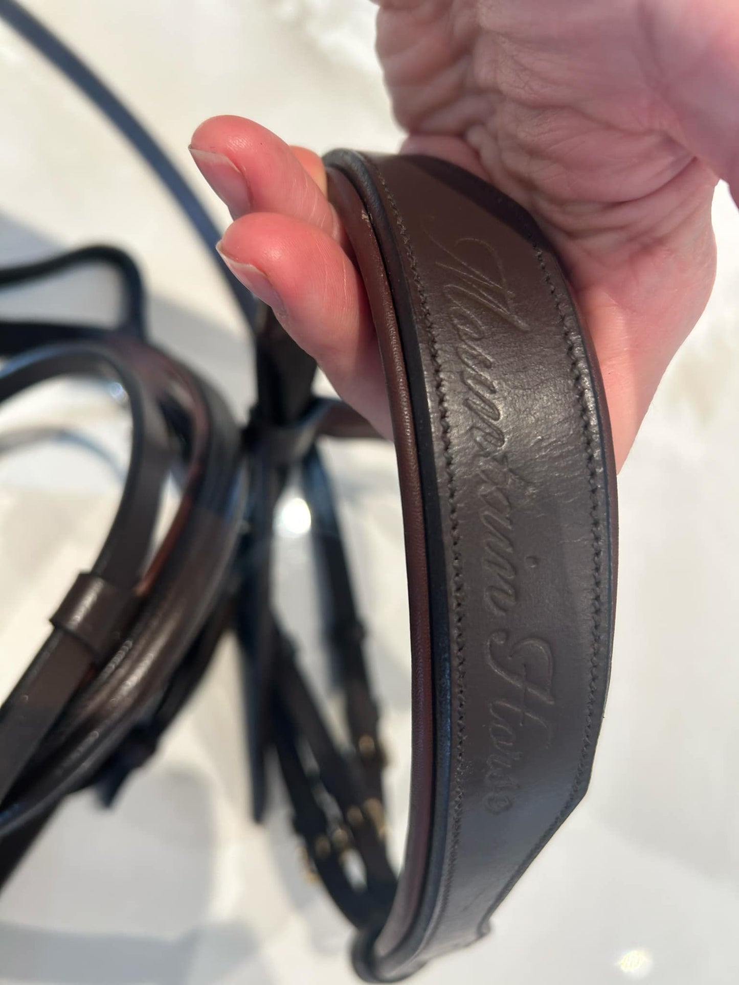 Träns Mountain horse stl full