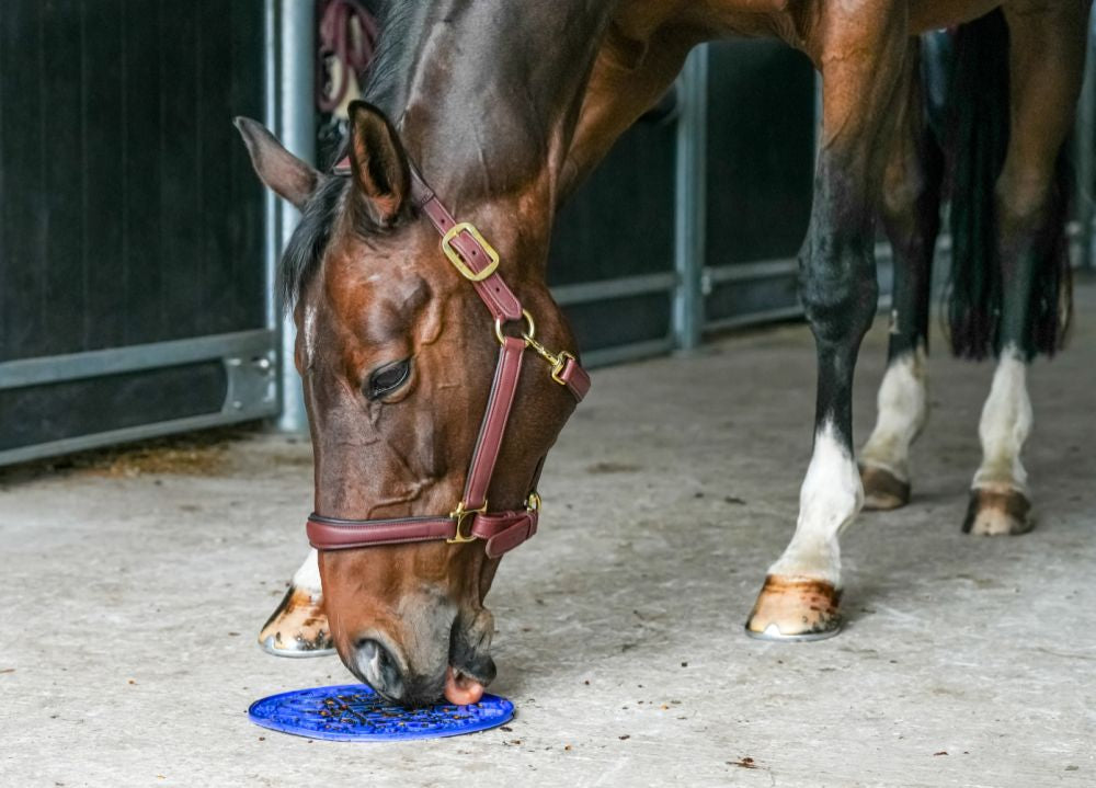 Graze Maze- Slowfeeding slickmatta,