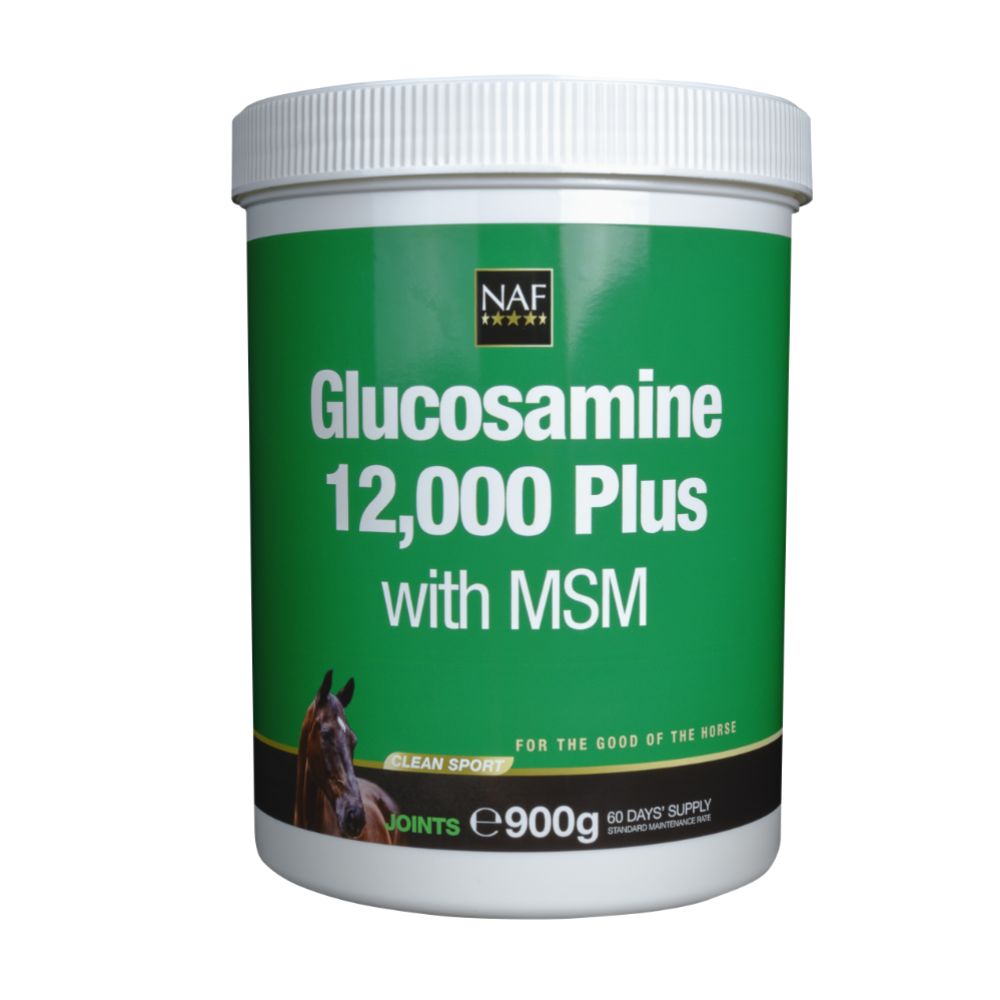 Glukosamin 12.000 plus MSM