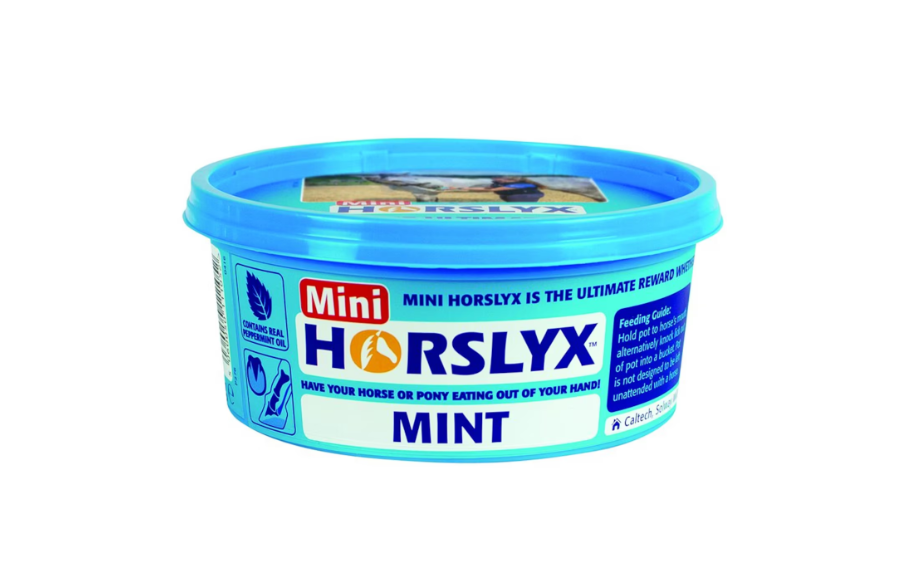 HorsLyx Ljusblå, Mint