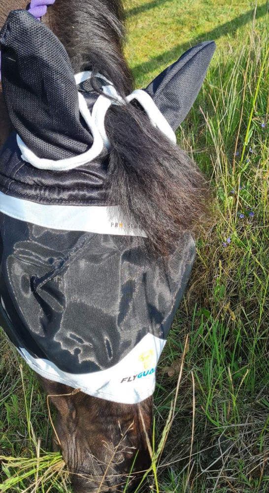 Flyguard Flughuva med öron och pannluggshål