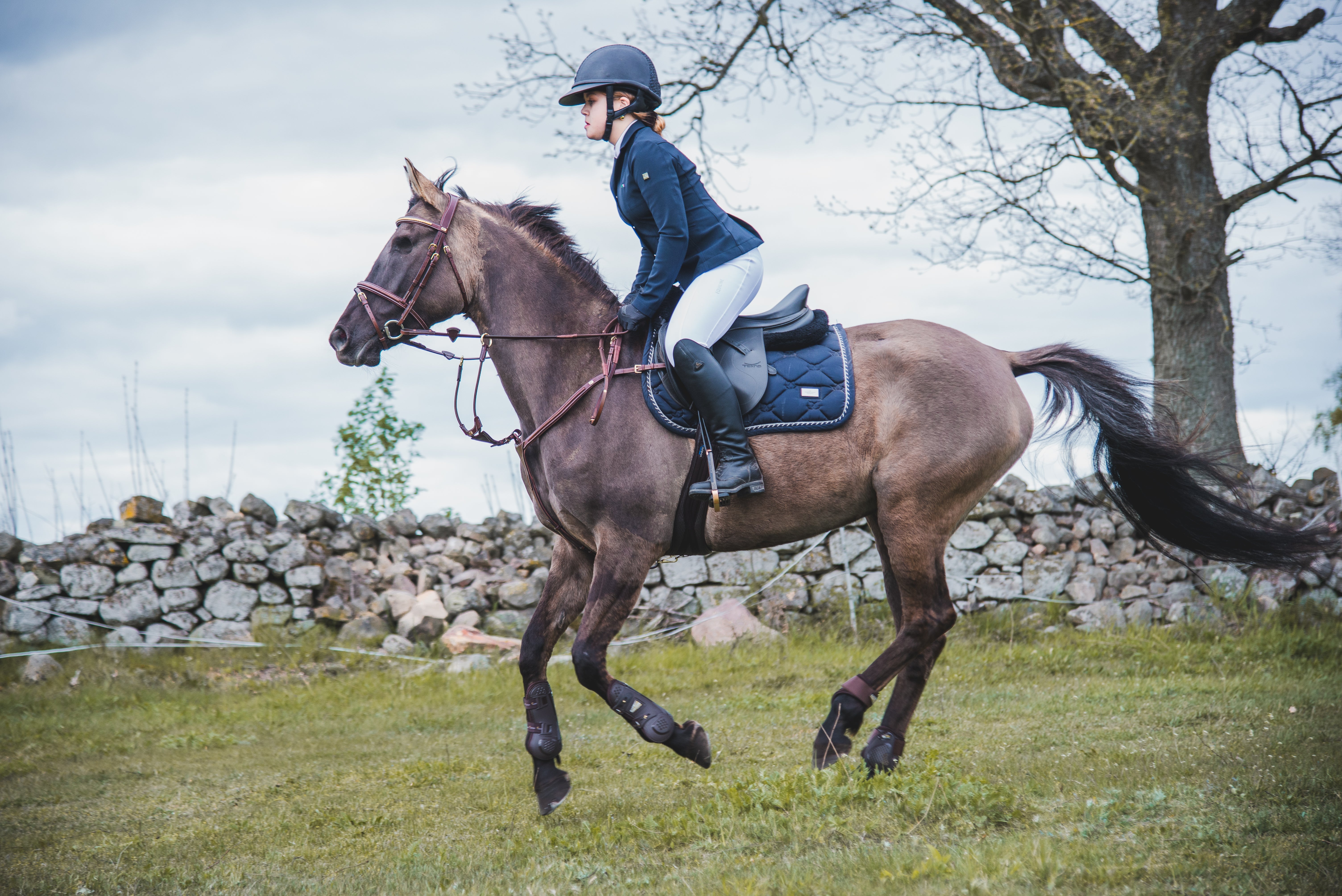 Equiline