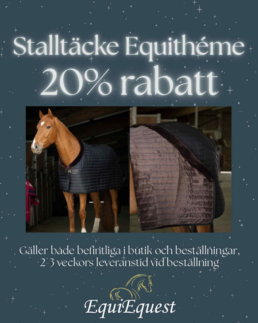 Stalltäcke Equithéme