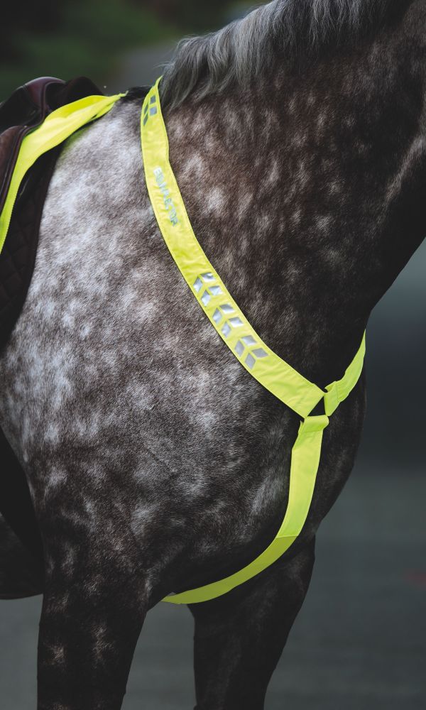 EQUI-FLECTOR® Reflex Brösta, Yellow