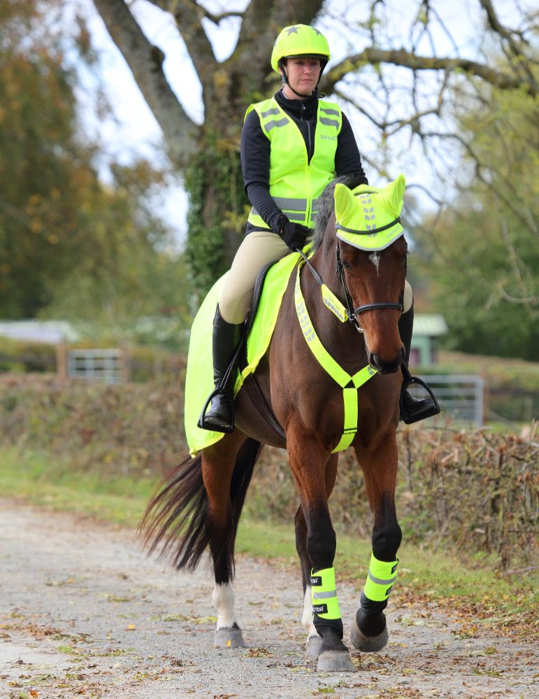 EQUI-FLECTOR® Reflex Brösta, Yellow