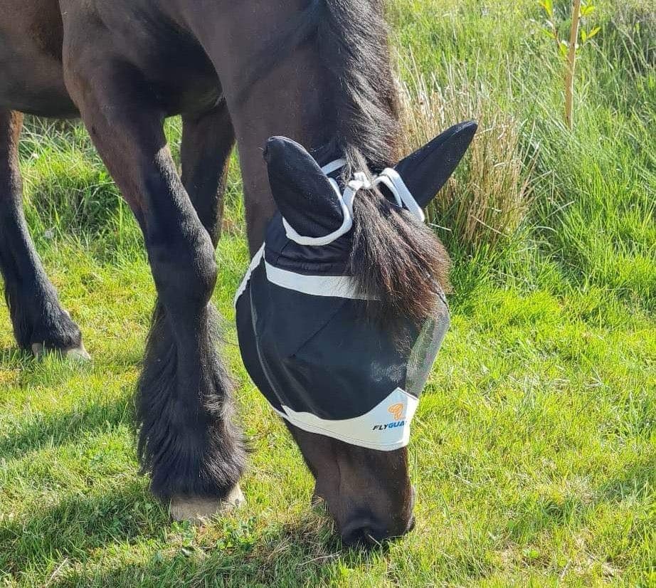 Flyguard Flughuva med öron och pannluggshål