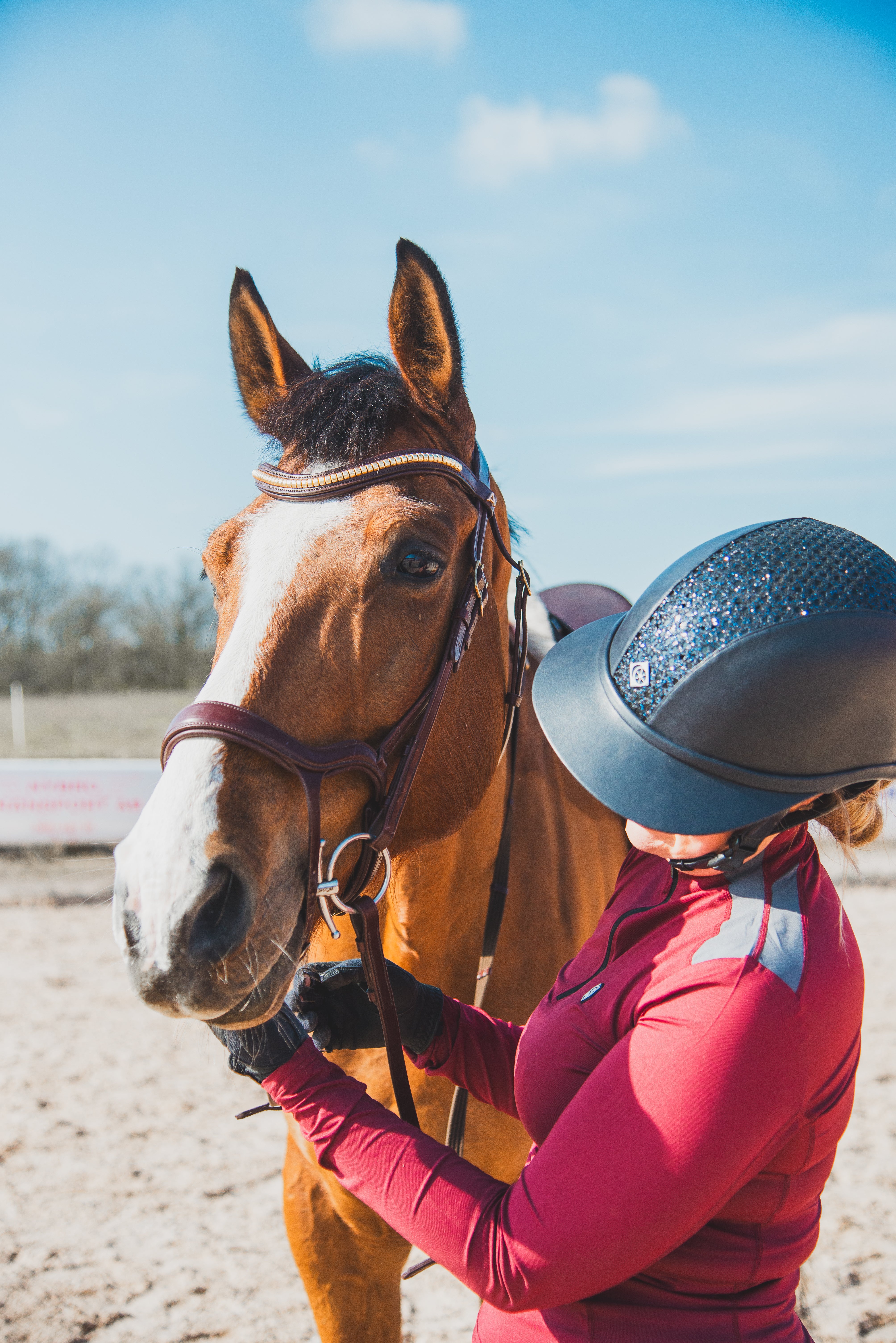EquiEquest