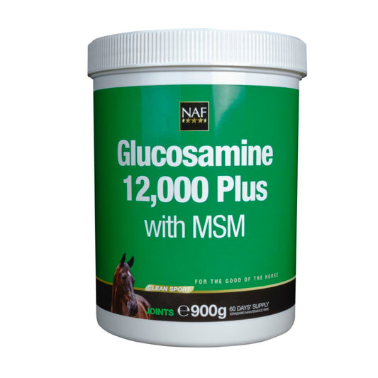 Glukosamin 12.000 plus MSM