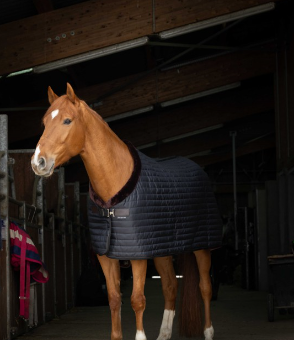 Teddy stalltäcke, Equithéme