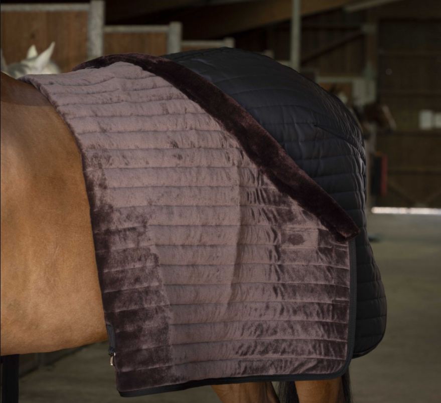 Teddy stalltäcke, Equithéme