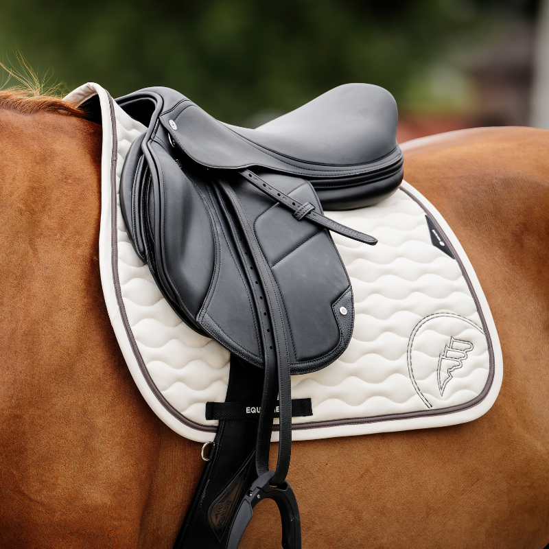 Eonda schabrak tofu, equiline